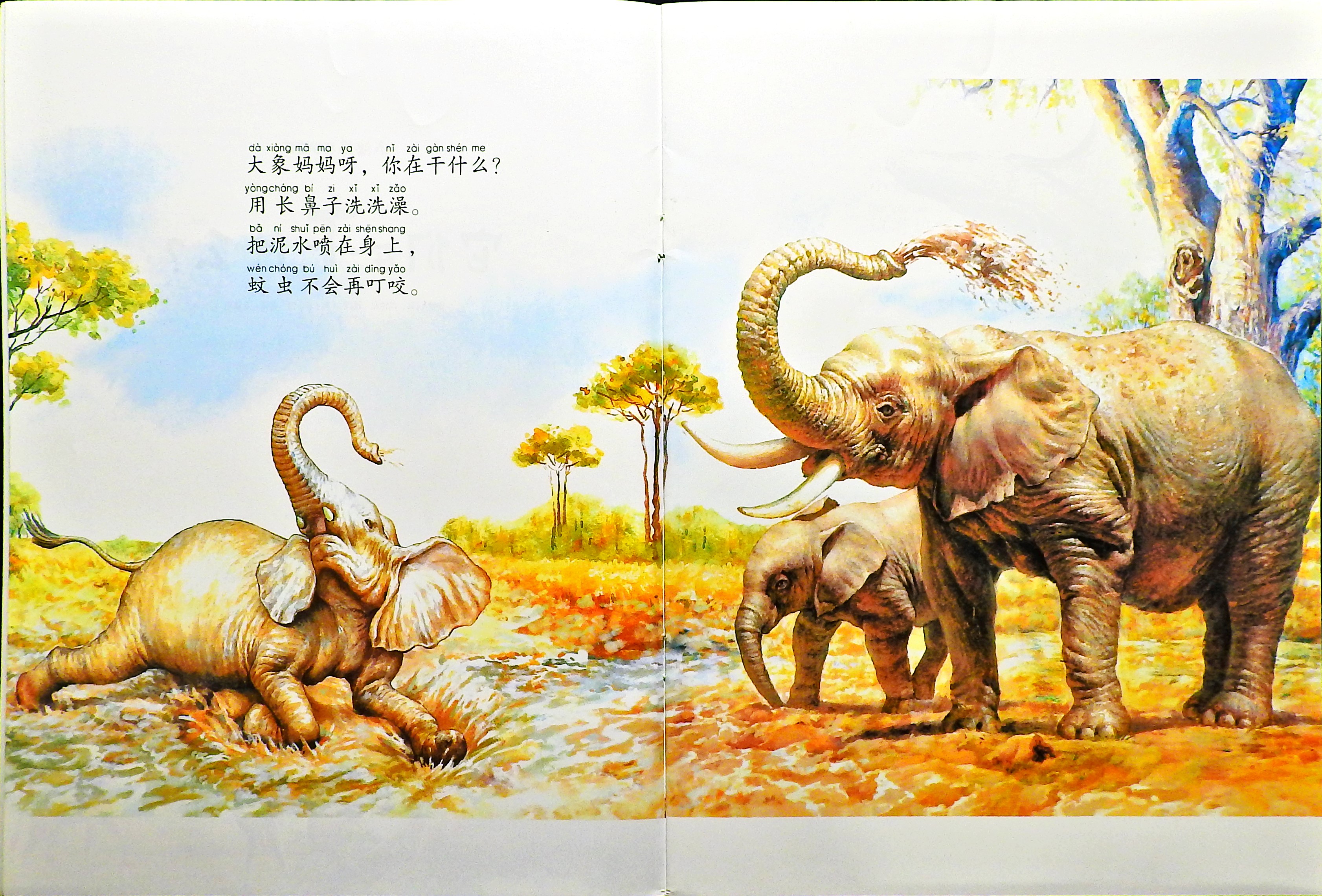 它们在干什么？ (04),绘本,绘本故事,绘本阅读,故事书,童书,图画书,课外阅读